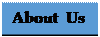 Pentagon: About  Us