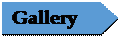 Pentagon: Gallery